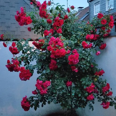 Διαμέρισμα Mit Wohnflair Έσσεν